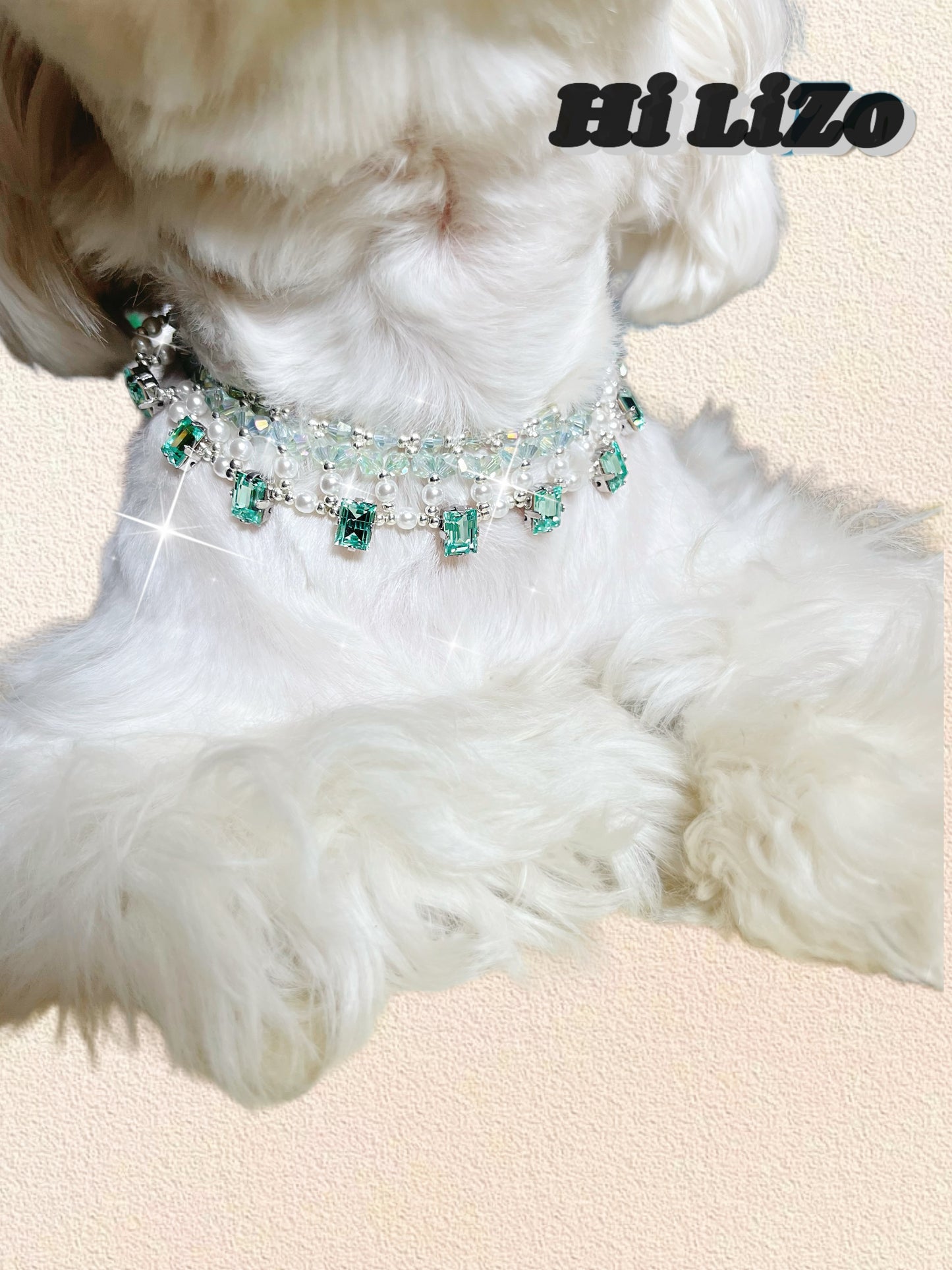 Pet Necklace for Cats and Dogs – Stylish Accessories for Pets