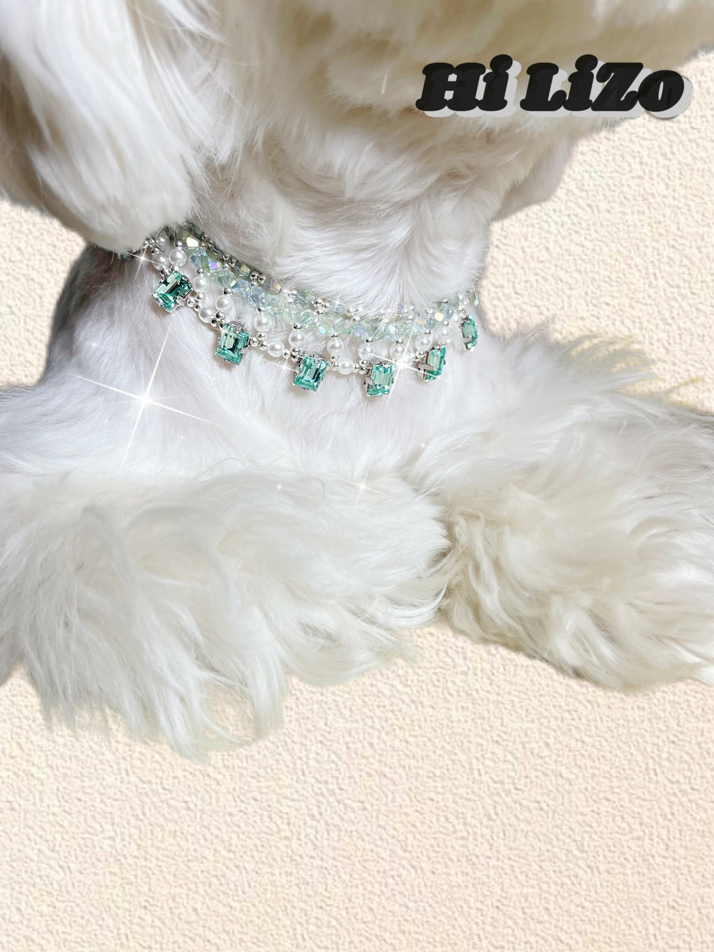 Pet Necklace for Cats and Dogs – Stylish Accessories for Pets