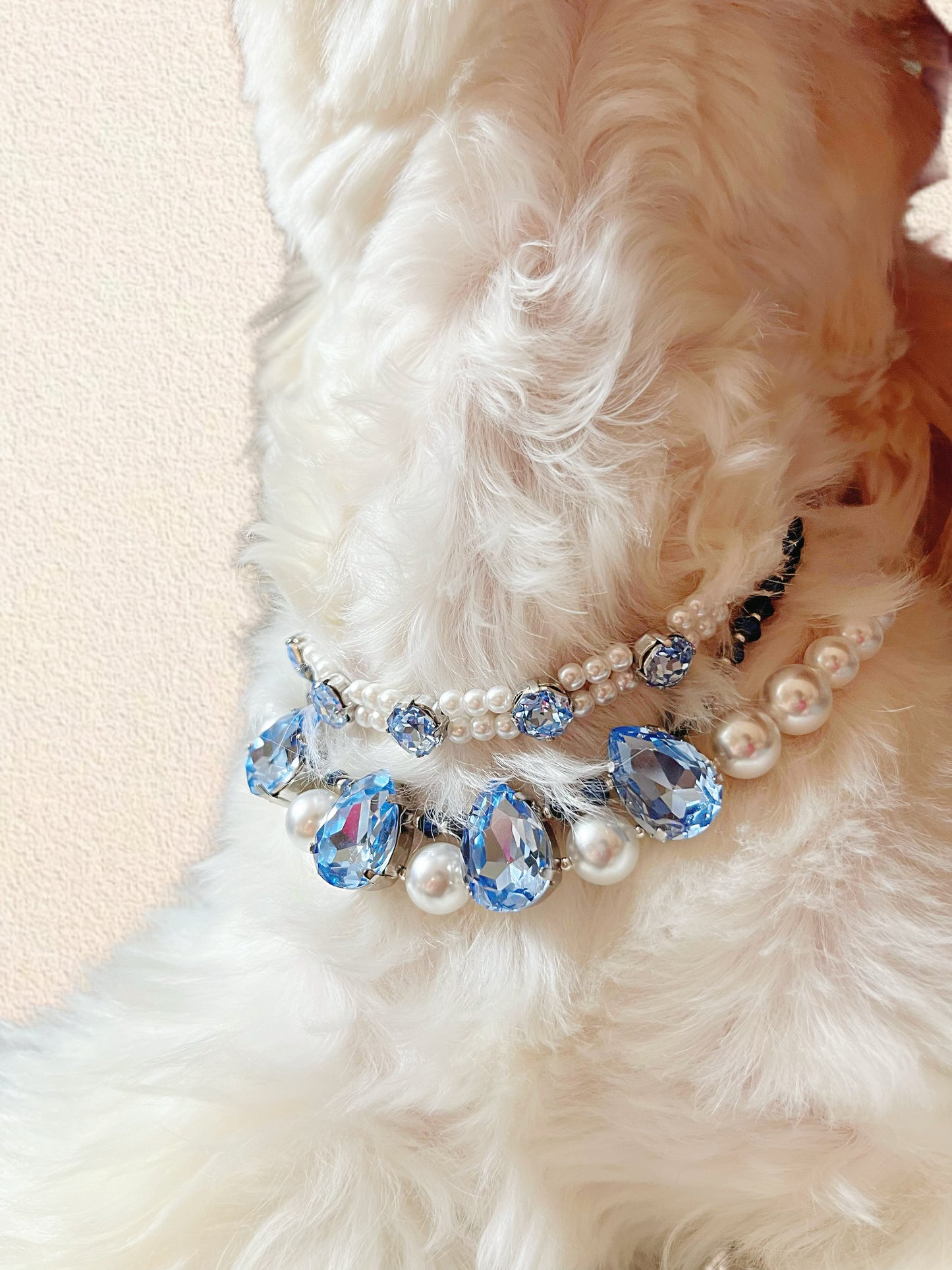 Pet Necklace for Cats and Dogs – Stylish Accessories for Pets